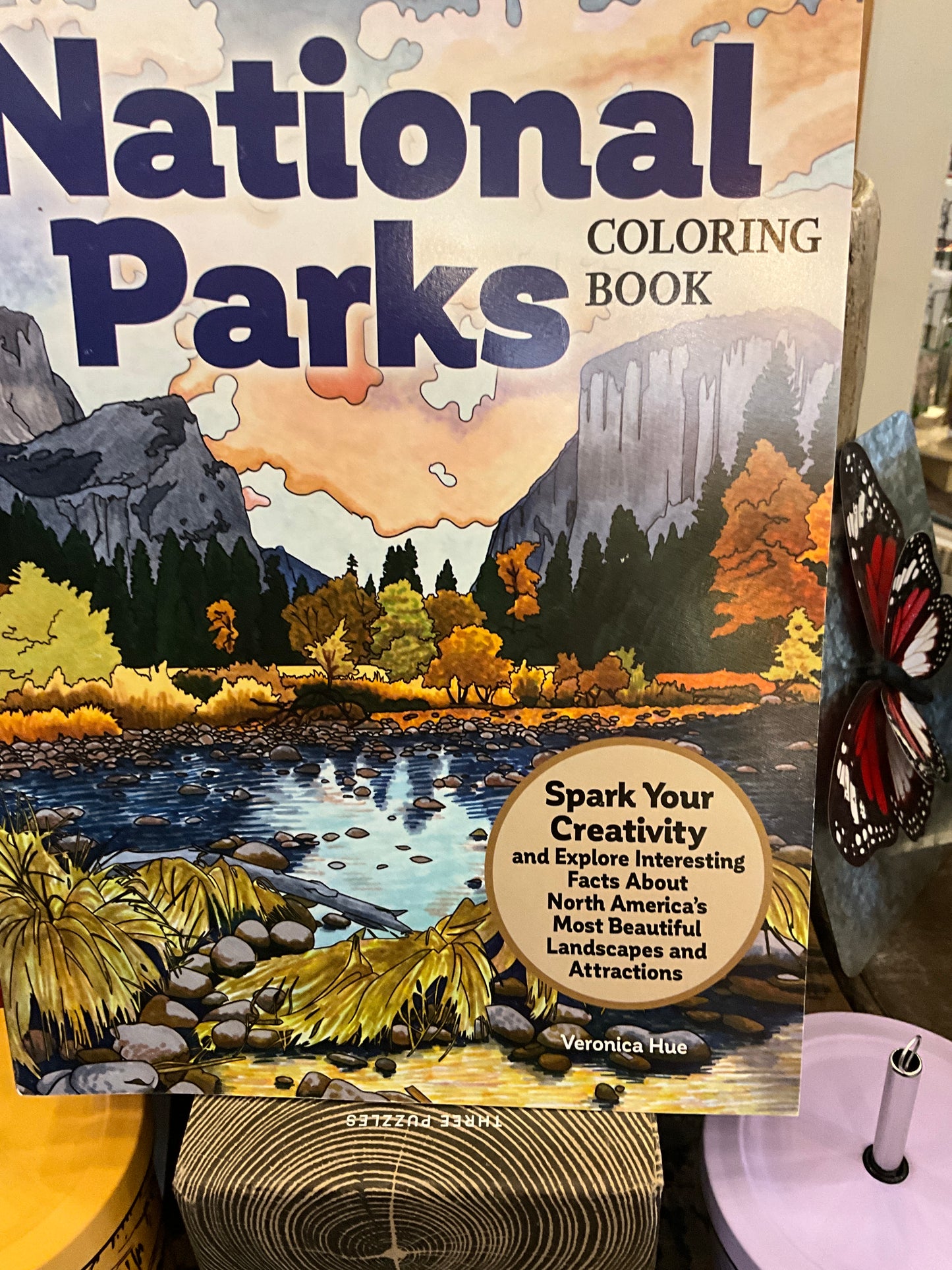 Wellspring Children Coloring Books 6