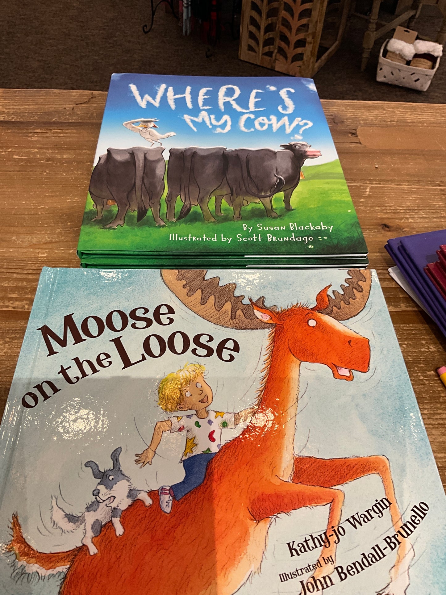 Sleeping Bear Press Children Books 5